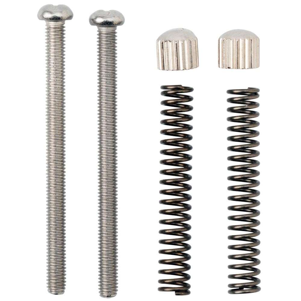 Surly C.Check Dropout Screws