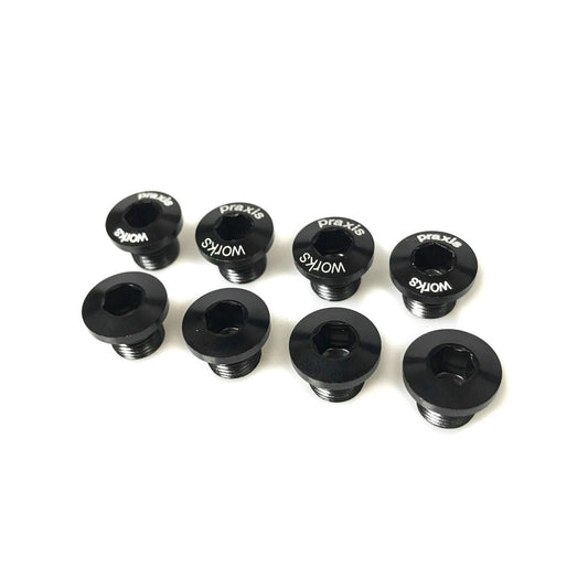 Praxis - SPARE - X-Ring Bolts